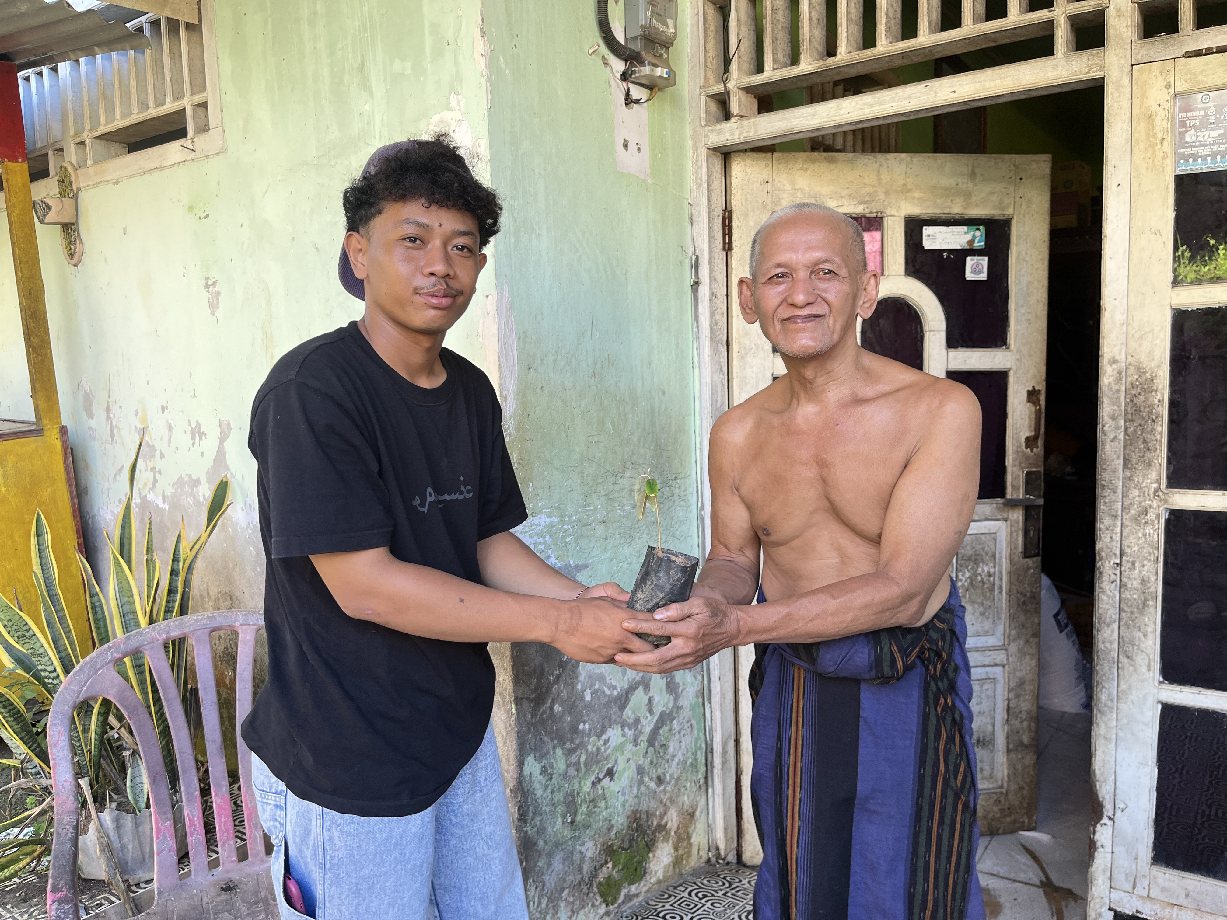 pembagian bibit tanaman