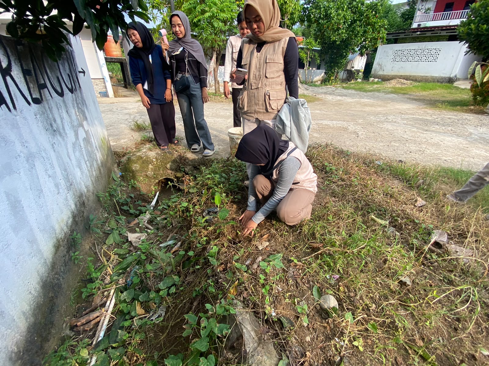 Penanaman bibit dari lppm