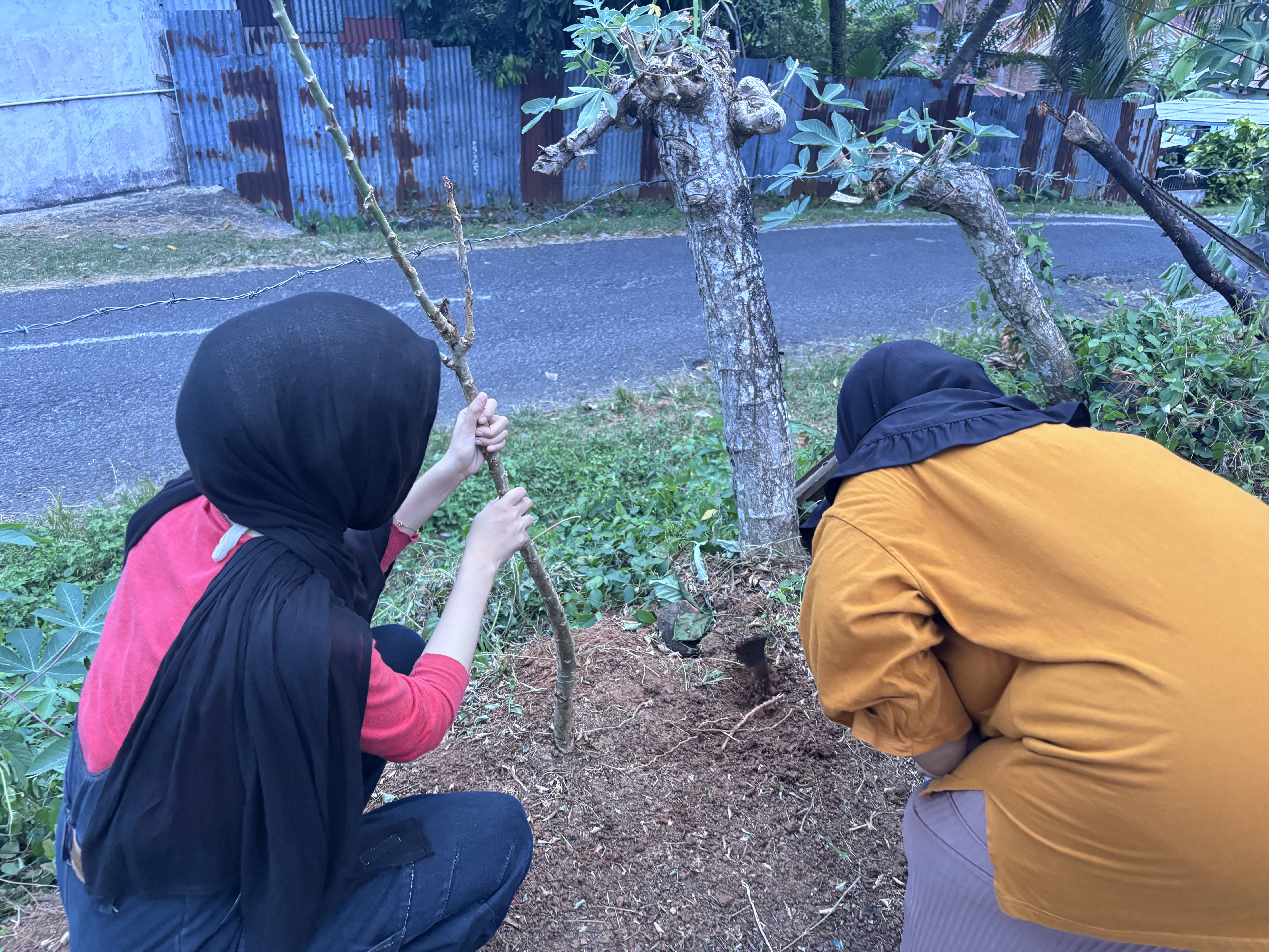 Penanaman pucuk ubi bersama warga RT 12