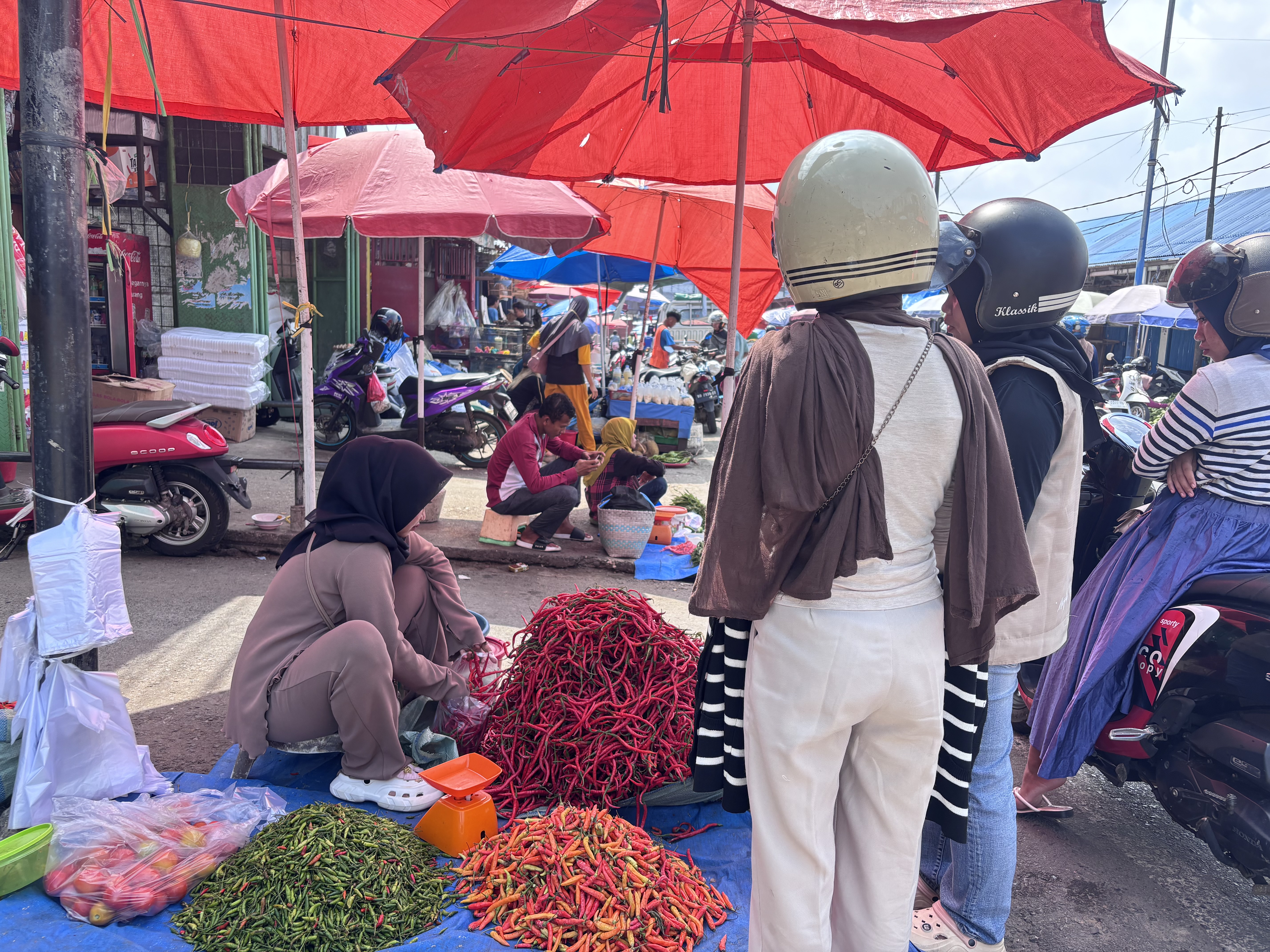 Pembelian bahan bakar bakar