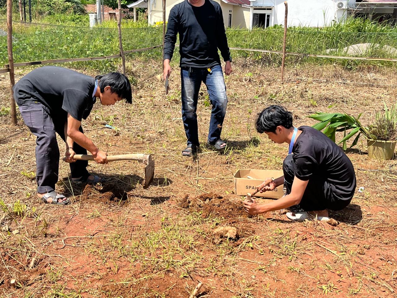 Melakukan penanaman di lahat kosong 
