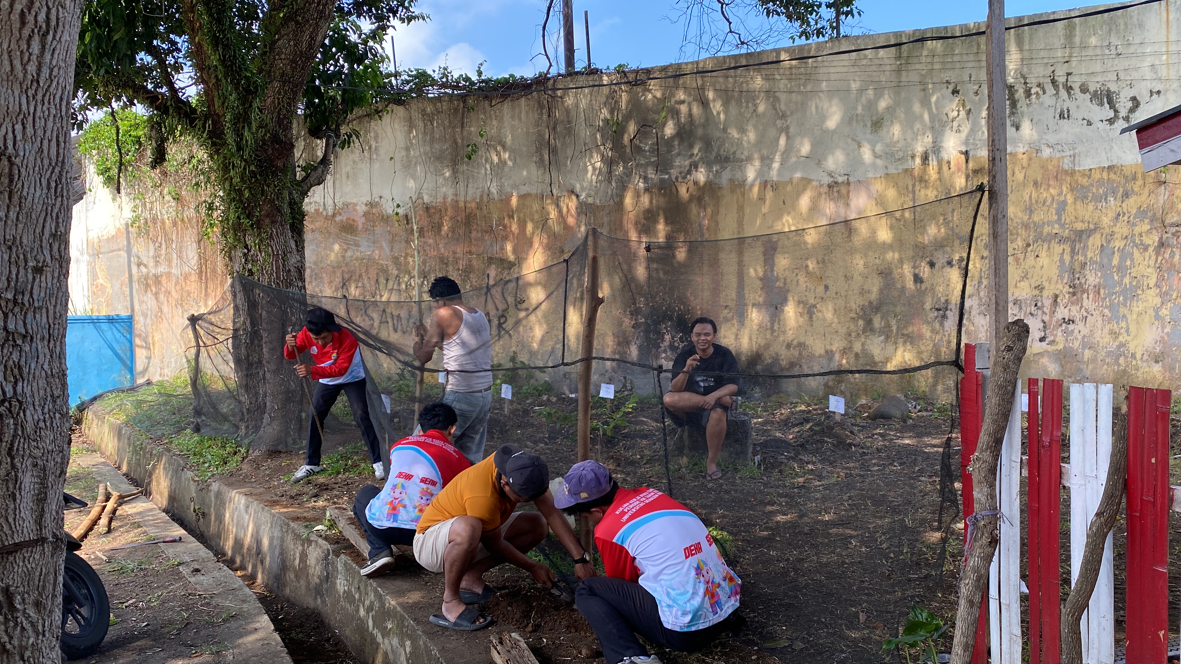 kegiatan pemasangan jaring pembatas di area kebun.