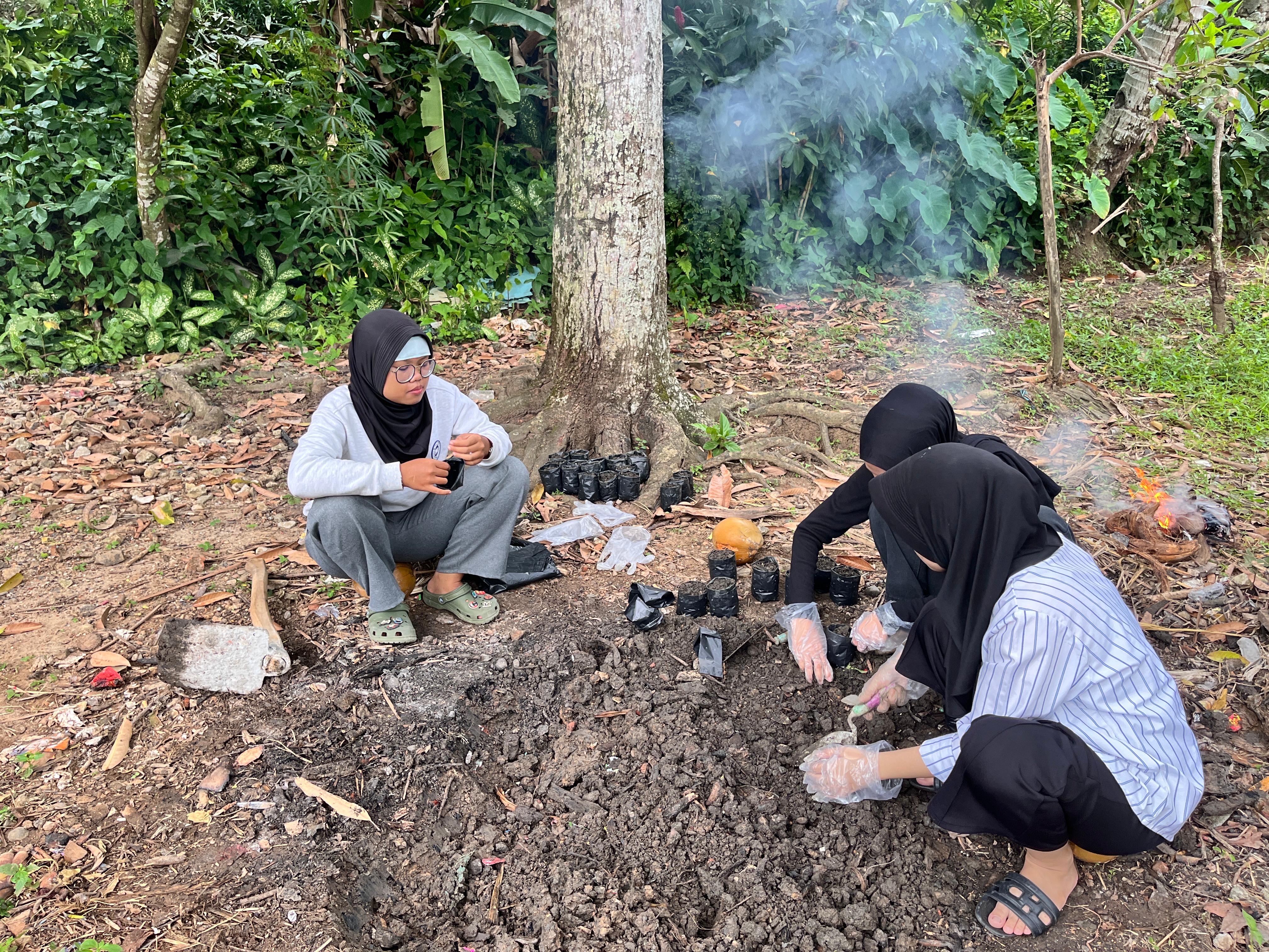 Pengisian polybag untuk budidaya cabai dan terong