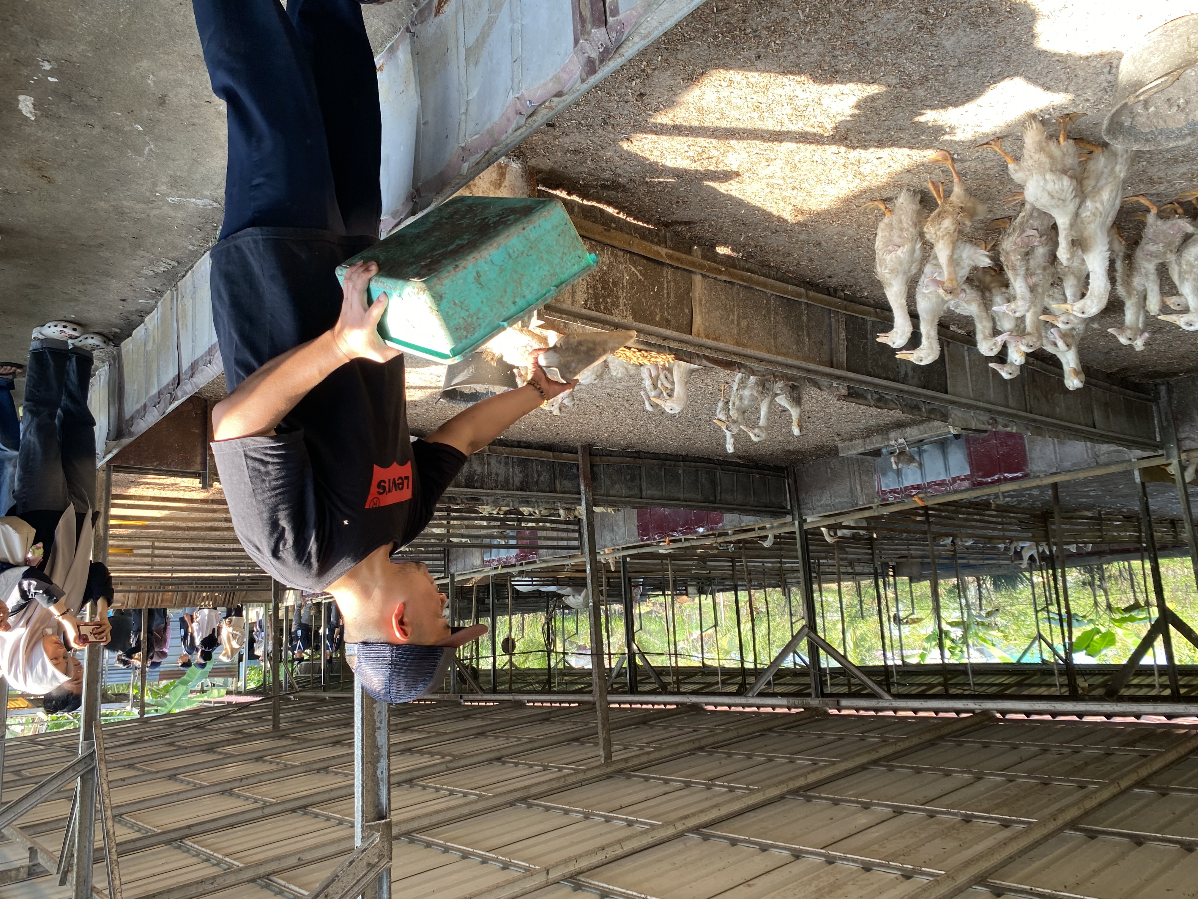 Kegiatan pelatihan di kandang bebek  pak Yudi 