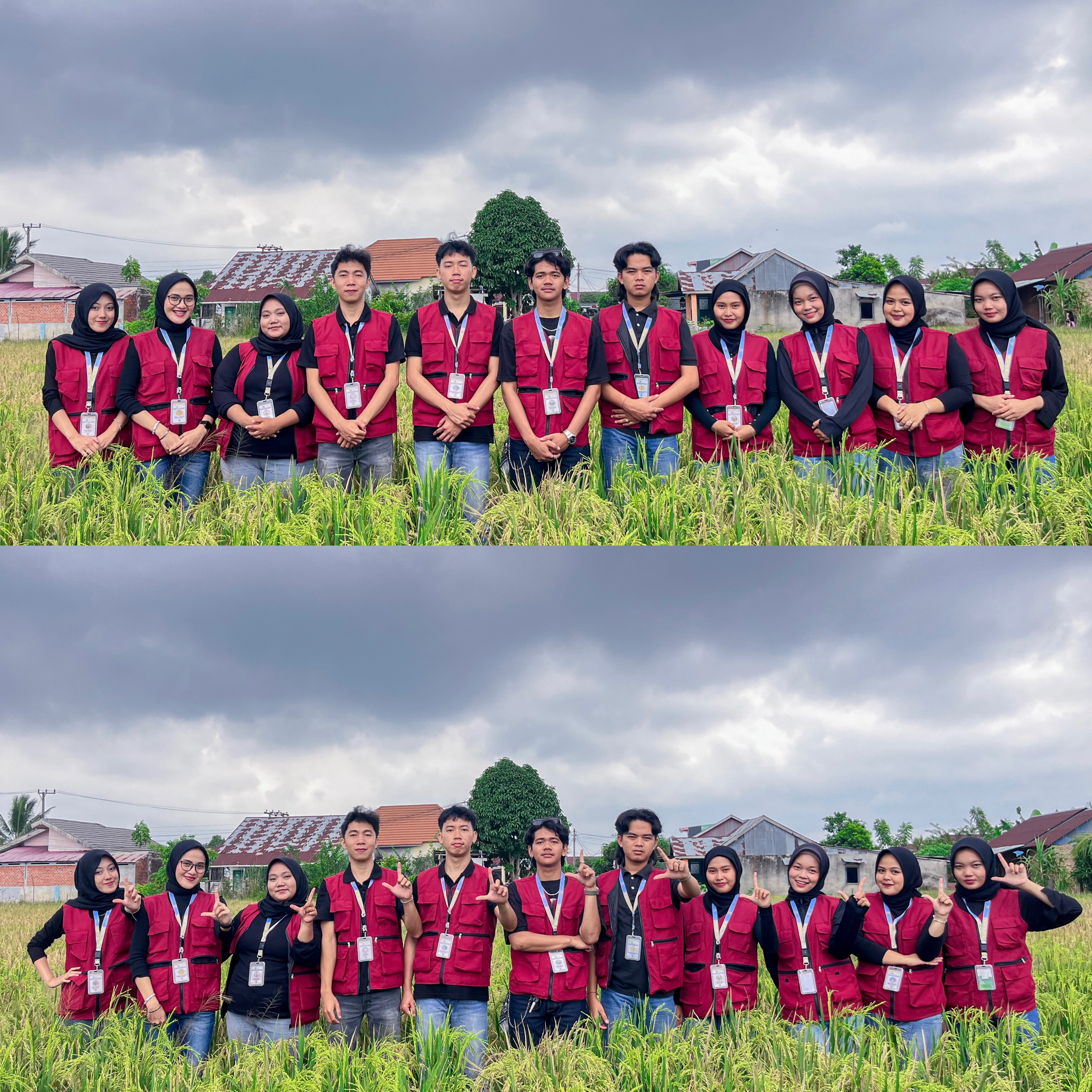 pembuatan konten du sawah 