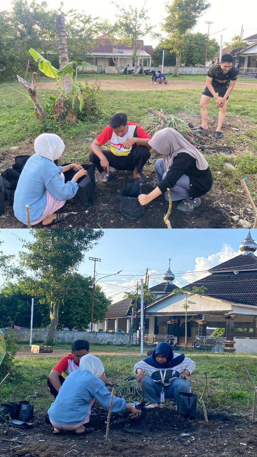 Pengisian tanah kedalam polybag