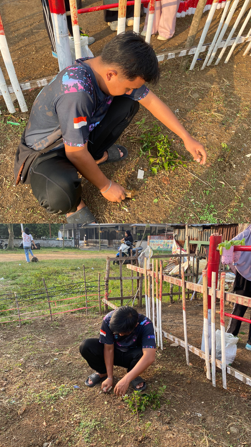 Pembuatan pagar tanaman kacang