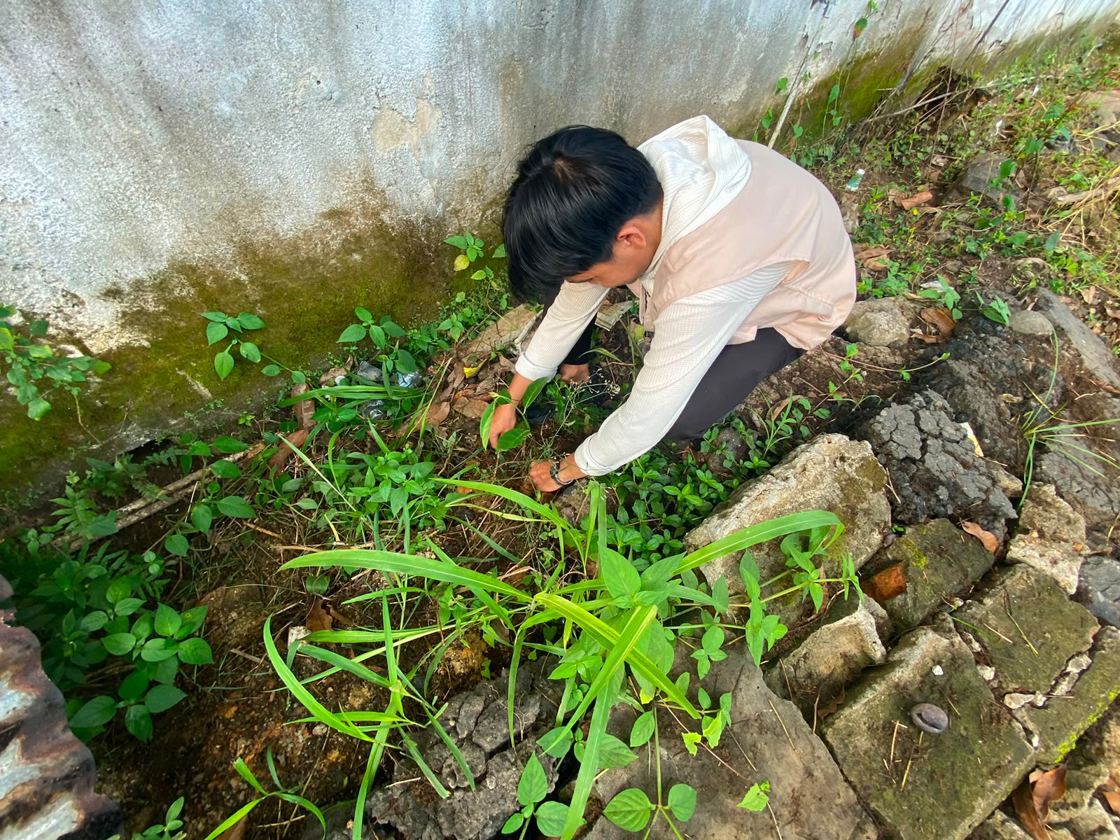 menanam pohon duren untuk masyarakat
