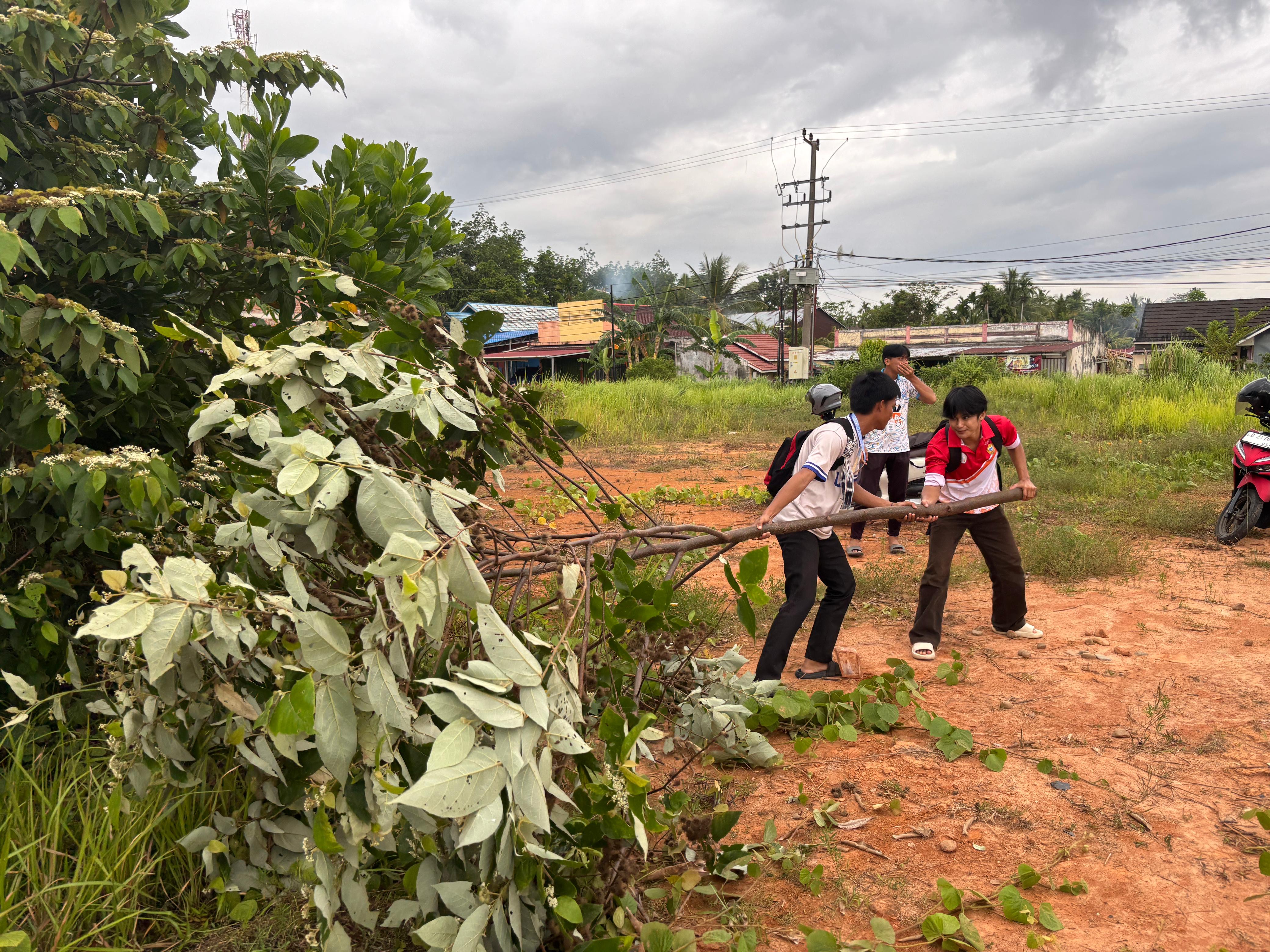 pengambilan kayu untuk bahan pembuatan taman di jembatan kualo