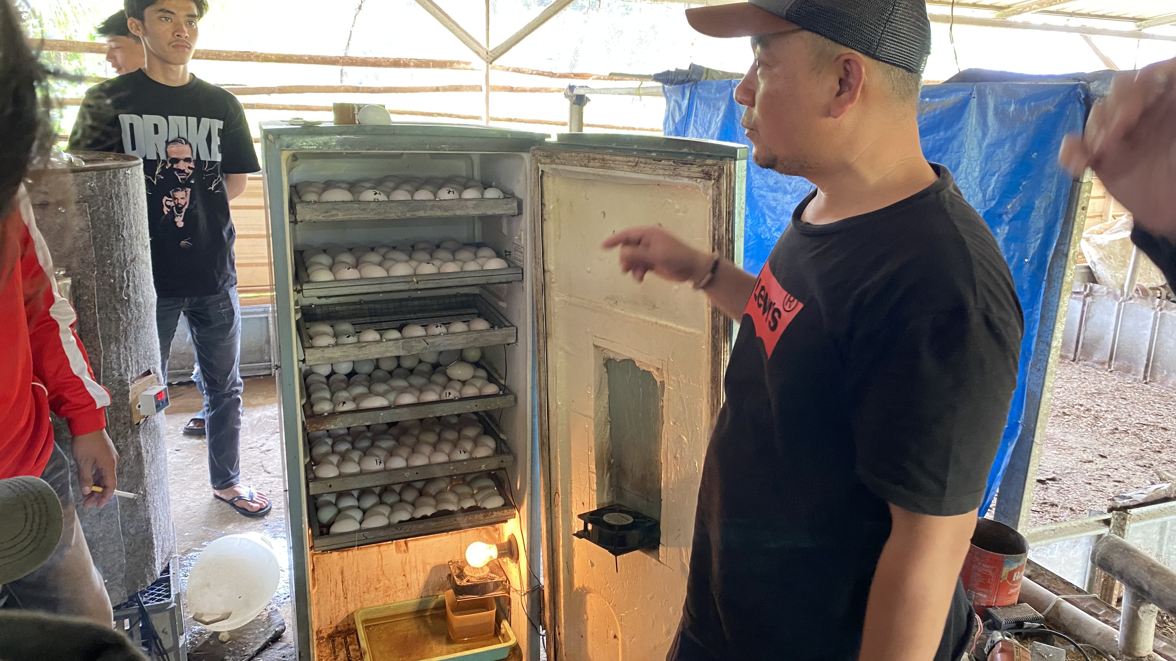 Pelatihan Di tempat Peternakan Bebek Bapak Yudi