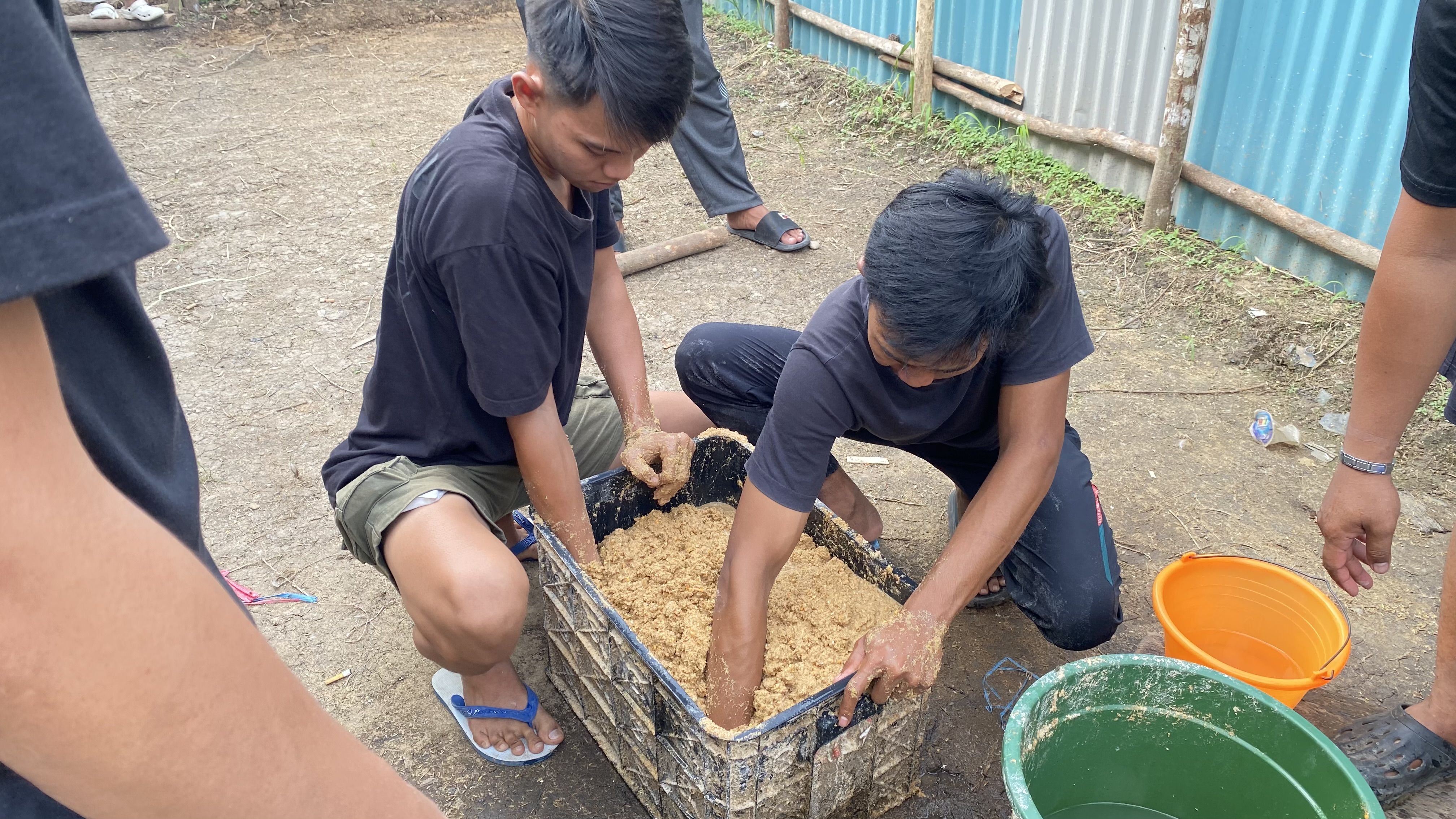 Memberi Pakan Bebek Pada Sore Hari