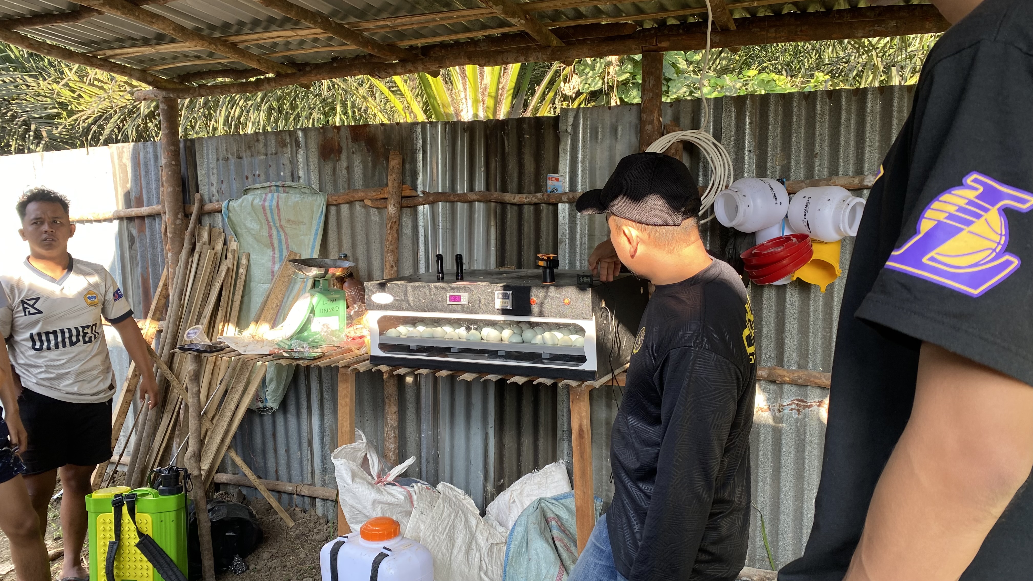 Penyortiran Telur Itik Tahan Ke dua Pemateri Bapak Yudi