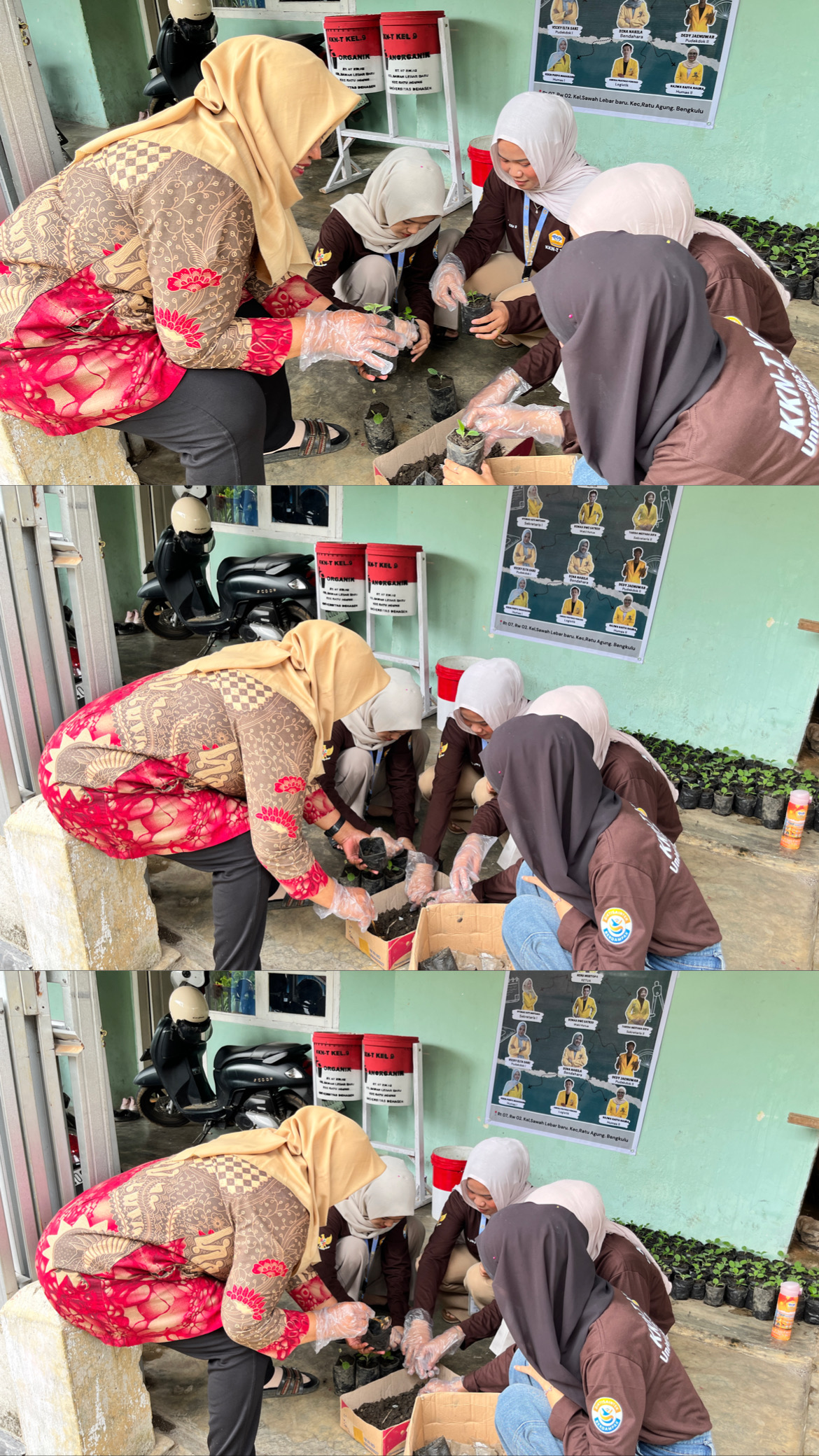 Penanaman Bibit Cabai dan Terong Bersama DPL KKN Kelompok 9