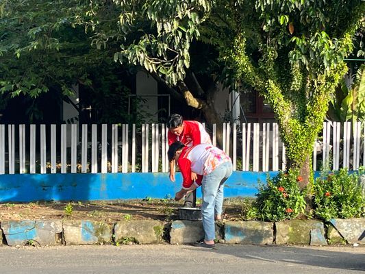 Menyiram bibit  yang sudah di tanam di jalan trotoar rt 10