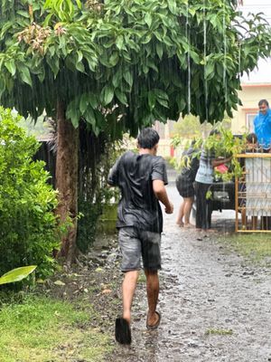 Persiapan mengambil dan menurunkan bibit tambhan dari lppm