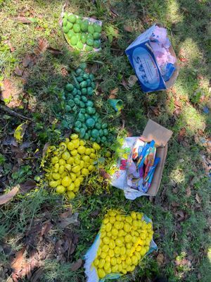 Hasil pengecatan batu buat taman di lempuing 