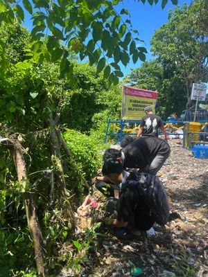 Menyusun sisa bibit bunga di pingir pagar 