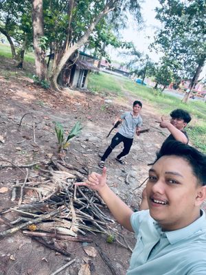 Pengambilan kayu untuk di manfaatkan menjadi bahan bakar di posko