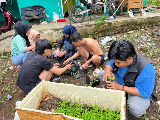 Memindahkan bibit cabe ke polibek untuk di bagikan 1 rumah 1 tanaman cabe ke pada warga RT 29 RW 01 pematang gubernur 