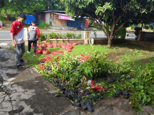 Pengambilan bibit bunga yang akan di tanam di proker bersama taman jembatan kualo